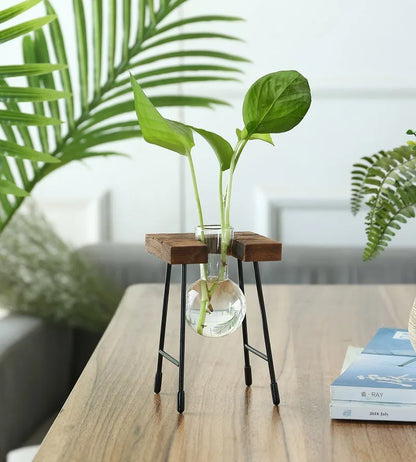 vedant balance

terrarium

tabletop planter

Small Spaces Glass Terrarium Real Plants Nature Low Maintenance Hydroponic Plant Display Indoor Garden Hydroponic Living Wall Hydroponic Plants Home Decor Hydroponic Glass Vase Glass Vase

plant vase

office decor

hydroponic planter

bonsai vase