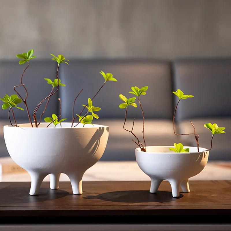 Whimsy Focal Point

Versatile

Succulents Tripod

Stylish

Small Plants Modern

Plant Pot Unique

Minimalist

Kitchen Decor

Home Decor

Fruits

Fruit Bowl

Eye-Catching

Conversation Starter

Ceramic Tripod Fruit Bowl