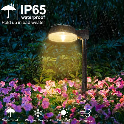 Solar Pathway Lights

Inusitado Incanto Solar Lanterns Outdoor Decor Outdoor Decor Light Solar Garden Lights Garden Lights Outdoor Lighting Solar Lights Garden Decor Unique Lighting Durable Solar Path Lights
Outdoor Lighting
Garden Lights
Pathway Lights
Energy-Efficient
Stylish
Safe
Easy to Install
Outdoor Oasis