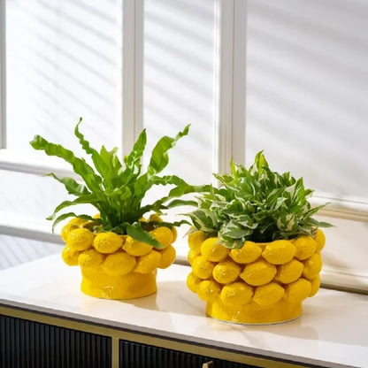 Two yellow ceramic lemon relief vases used as planters on a bright windowsill, Small Bowl with a bird's nest fern and Large Bowl with a variegated plant, natural light, airy home setting