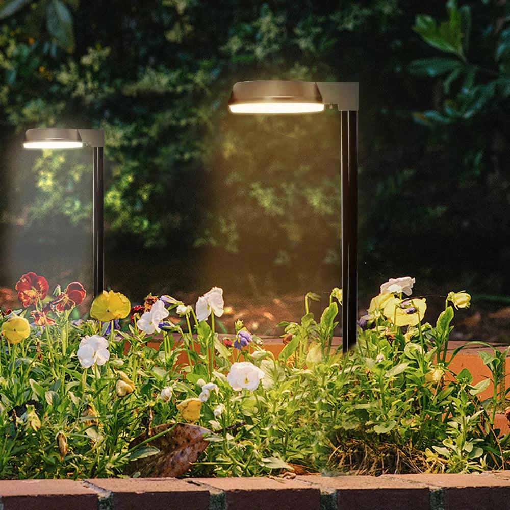 Solar Pathway Lights

Inusitado Incanto Solar Lanterns Outdoor Decor Outdoor Decor Light Solar Garden Lights Garden Lights Outdoor Lighting Solar Lights Garden Decor Unique Lighting Durable Solar Path Lights
Outdoor Lighting
Garden Lights
Pathway Lights
Energy-Efficient
Stylish
Safe
Easy to Install
Outdoor Oasis