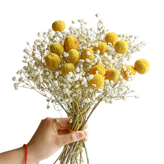 "Morning Gather" dried gypsophila and eucalyptus bouquet in Golden Mist — soft golden craspedia, white gypsophila and eucalyptus stems, loose natural dried botanical arrangement