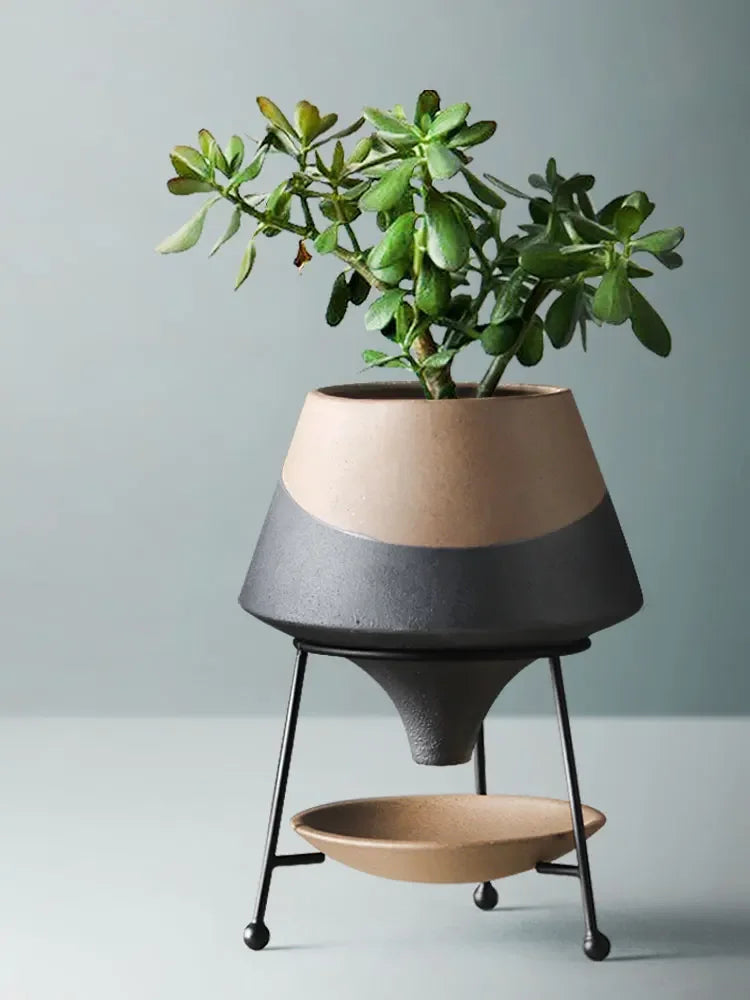  Slate and sand two-tone ceramic cone plant pot on black iron tripod stand holding a jade plant, matte anthracite and sand beige finish, blue-grey background