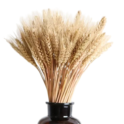  "Harvest Stem" dried wheat bundle displayed in a vase — golden wheat stems arranged as a natural botanical decoration