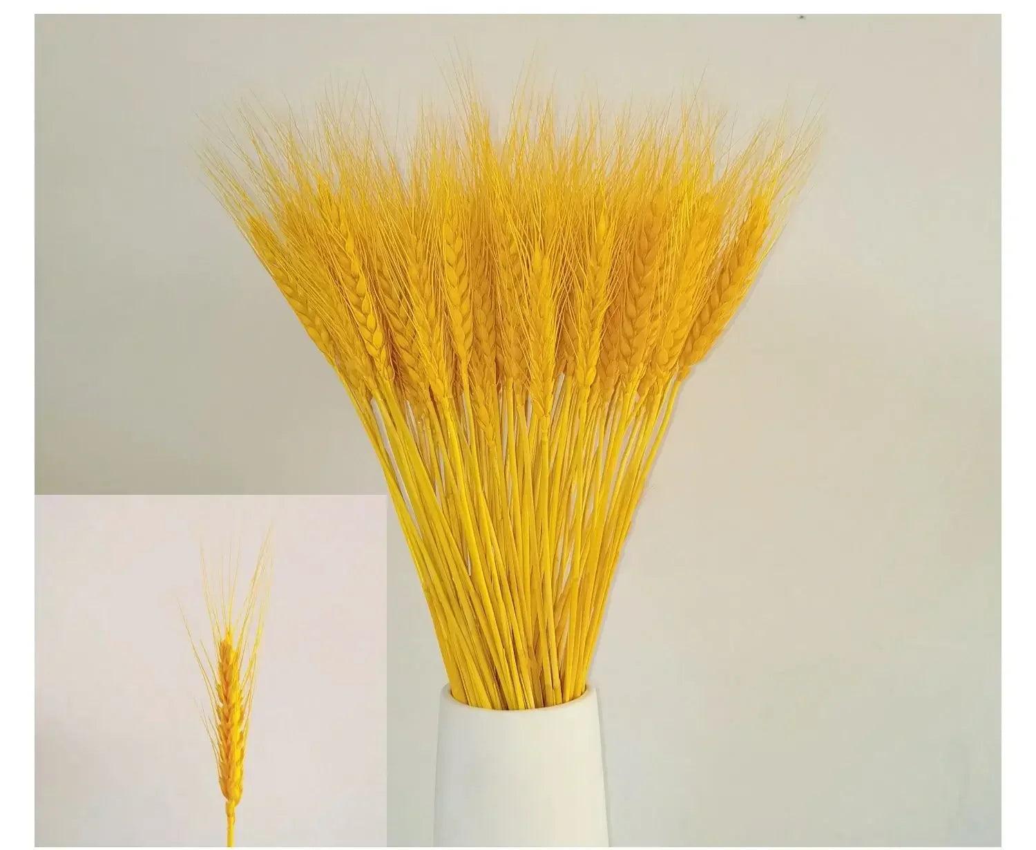 
Winter Decor Sustainable

Versatile

Soft

Natural Home Decor

Natural Beauty

Hustic

Home Decor Cozy

Floral Arrangements Elegant

Fall Decor

Eco-Friendly

Dried Wheat Grass

DIY Projects

Boho Natural Texture
