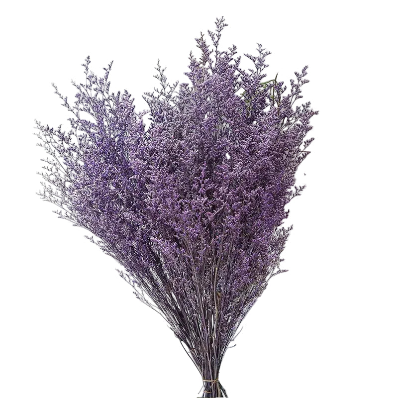 "Velvet Mist" preserved limonium bouquet in Purple — full cloud-like deep purple limonium clusters, preserved botanical bouquet