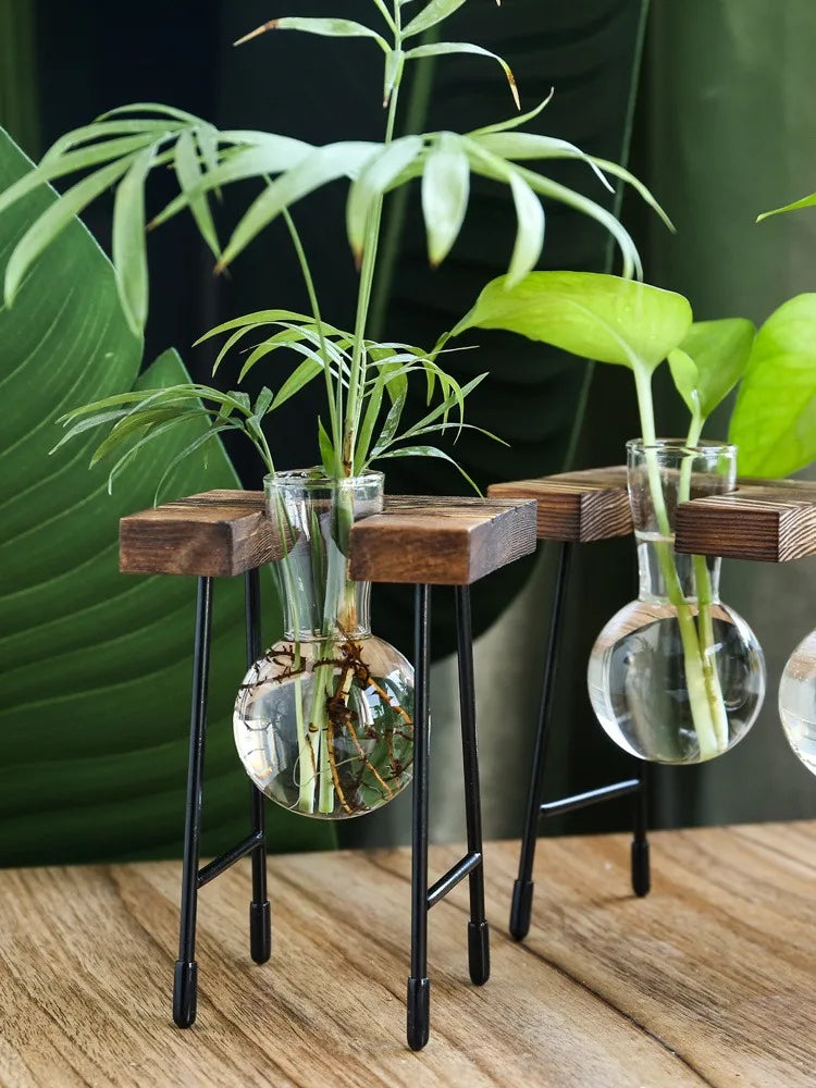 vedant balance

terrarium

tabletop planter

Small Spaces Glass Terrarium Real Plants Nature Low Maintenance Hydroponic Plant Display Indoor Garden Hydroponic Living Wall Hydroponic Plants Home Decor Hydroponic Glass Vase Glass Vase

plant vase

office decor

hydroponic planter

bonsai vase