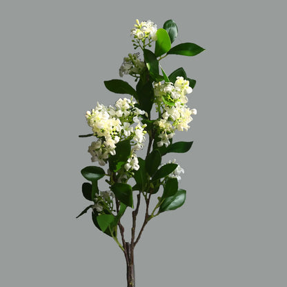 72cm Artificial Murraya branch

Fake Orange Jasmine flowers

Tall artificial greenery UK

Wedding floral decorations

Realistic silk flower stems

Living room botanical ornaments

Large faux branch for vase

Artificial Murraya paniculata

Maintenance-free home flowers