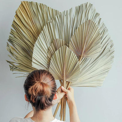 Warmth

Unique

Tropical Oasis

Tropical

Texture

Sustainable

Relaxed Atmosphere

Palm Leaf Wall Decor

Palm Leaf Wall Art

Palm Leaf Fan

Palm Leaf Arrangement

Natural

Large

Home Decor

Gift

Eye-Catching

Boho Decor

Boho

