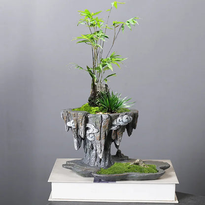 "Floating Rock" Bonsai Planter — Stone Grey and Crimson Rock side by side