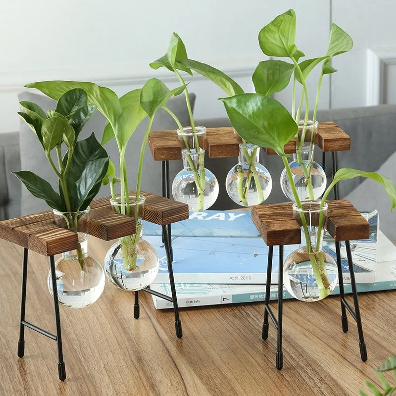 vedant balance

terrarium

tabletop planter

Small Spaces Glass Terrarium Real Plants Nature Low Maintenance Hydroponic Plant Display Indoor Garden Hydroponic Living Wall Hydroponic Plants Home Decor Hydroponic Glass Vase Glass Vase

plant vase

office decor

hydroponic planter

bonsai vase
