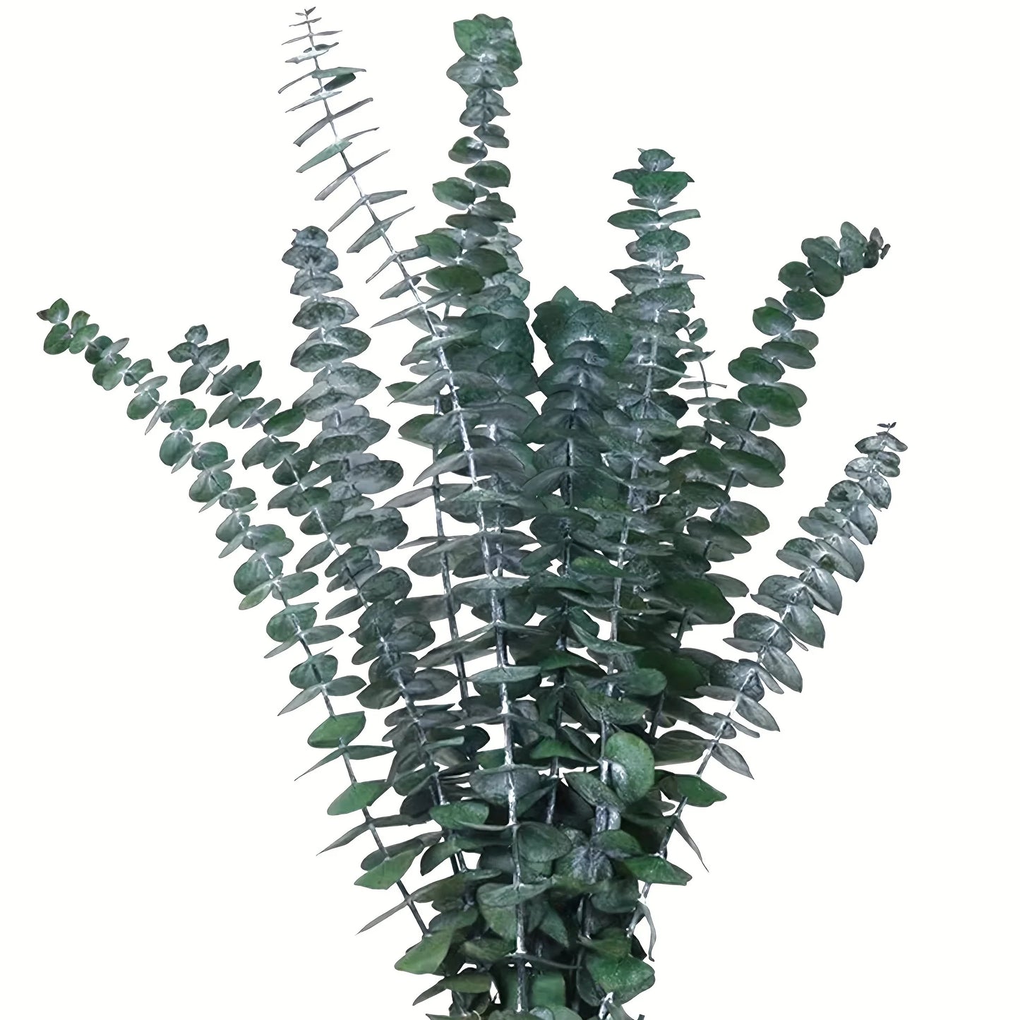 "Colour Bloom" preserved eucalyptus branch in Green — rich olive green preserved eucalyptus stems, natural flexible botanical decoration