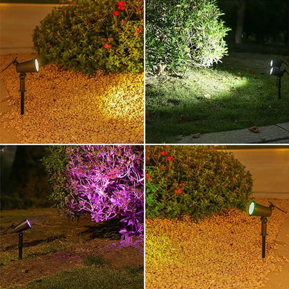 Inusitado Incanto 
LEDs Solar Spotlights 
Solar Lanterns Outdoor Decor
Outdoor Decor Light Solar Garden Lights Garden Lights Outdoor Lighting Solar Lights Garden Decor Unique Lighting Durable Solar Flame Torches
Outdoor Lighting
Patio Lights
Garden Decor
Flame Effect
Cozy Ambiance
Safe
Stylish
Sustainable