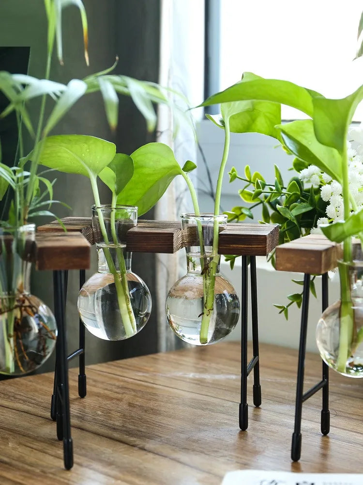 vedant balance

terrarium

tabletop planter

Small Spaces Glass Terrarium Real Plants Nature Low Maintenance Hydroponic Plant Display Indoor Garden Hydroponic Living Wall Hydroponic Plants Home Decor Hydroponic Glass Vase Glass Vase

plant vase

office decor

hydroponic planter

bonsai vase