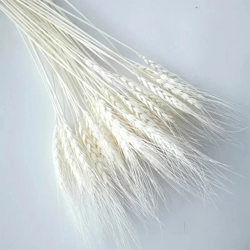 Natural dried flowers

Rabbit tail grass UK

Dried wheat stalks decor

Boho wedding flowers

Rustic home accessories

Everlasting botanical display

Lagurus grass stems

Christmas floral decorations

Dried gem grass