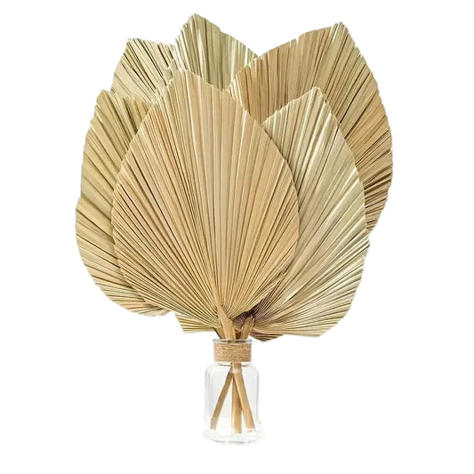  "Fan Palm" dried palm spear leaf bundle in Natural Tan — fan-shaped golden palm leaves, architectural dried botanical bundle, natural texture