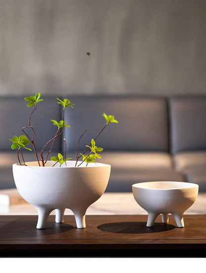 Whimsy Focal Point

Versatile

Succulents Tripod

Stylish

Small Plants Modern

Plant Pot Unique

Minimalist

Kitchen Decor

Home Decor

Fruits

Fruit Bowl

Eye-Catching

Conversation Starter

Ceramic Tripod Fruit Bowl