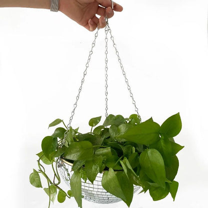 Whimsy

Unique Globe Planter

Succulents

Small Plants

Plant Lovers

Modern

Home Decor

Herbs Glass Globe Planter

Greenery

Globe Shaped Hanging Planter

Gift

Focal Point

Floating Garden

Air Plants Hanging Glass Globe Planter