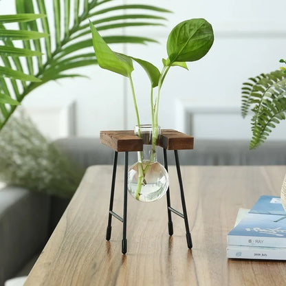 Equilibrio verde: Maceta hidropónica vintage de vidrio y madera