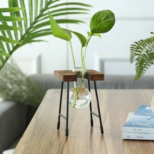 Verdant Balance : jardinière hydroponique vintage en verre et bois
