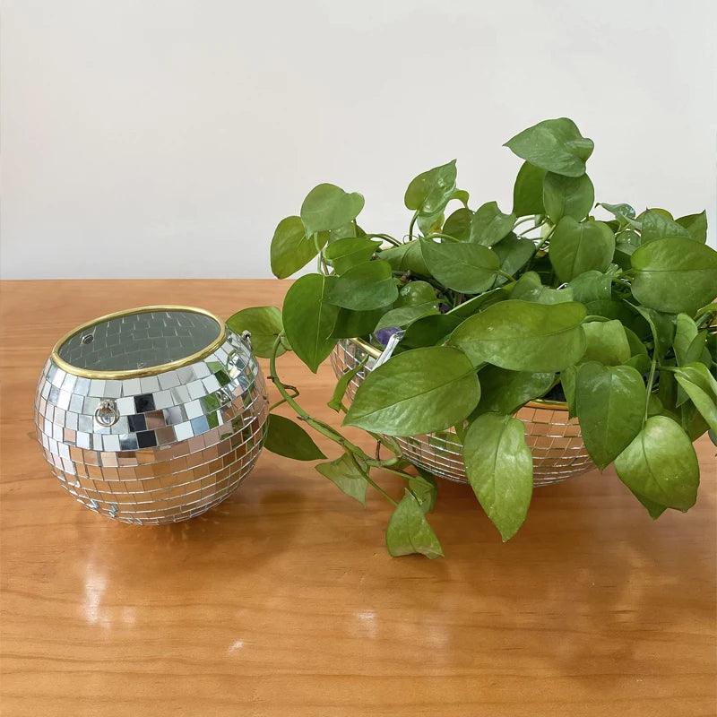 Whimsy

Unique Globe Planter

Succulents

Small Plants

Plant Lovers

Modern

Home Decor

Herbs Glass Globe Planter

Greenery

Globe Shaped Hanging Planter

Gift

Focal Point

Floating Garden

Air Plants Hanging Glass Globe Planter