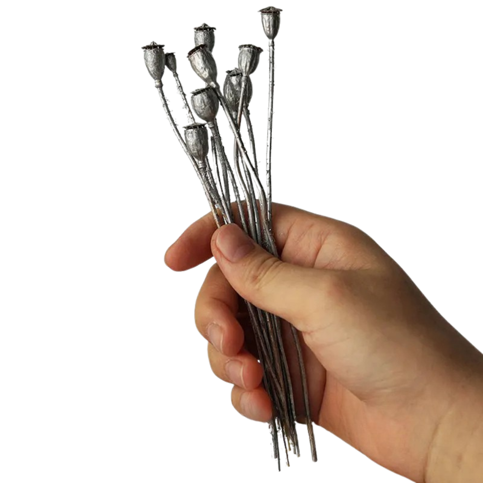"Gilded Poppy" Silver — hand holding a bundle of dried corn poppy stems with metallic silver finish, showing scale, on a white background