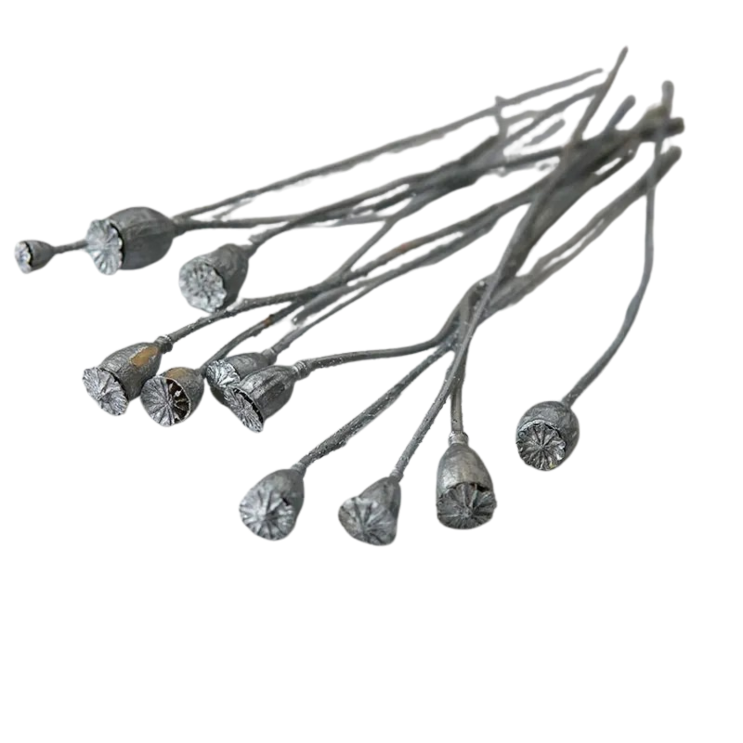 "Gilded Poppy" Silver — dried corn poppy stems with metallic silver finish, laid flat on a white background