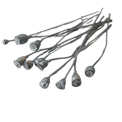 "Gilded Poppy" Silver — dried corn poppy stems with metallic silver finish, laid flat on a white background
