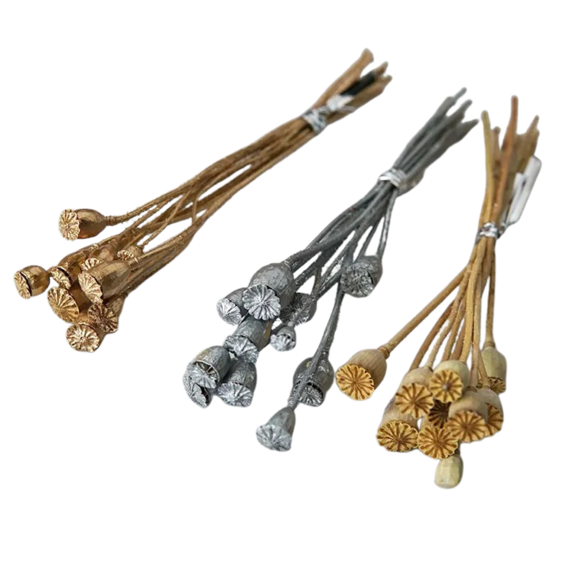"Gilded Poppy" dried corn poppy stems in all three variants — Gold, Silver and Natural — laid side by side on a white background
