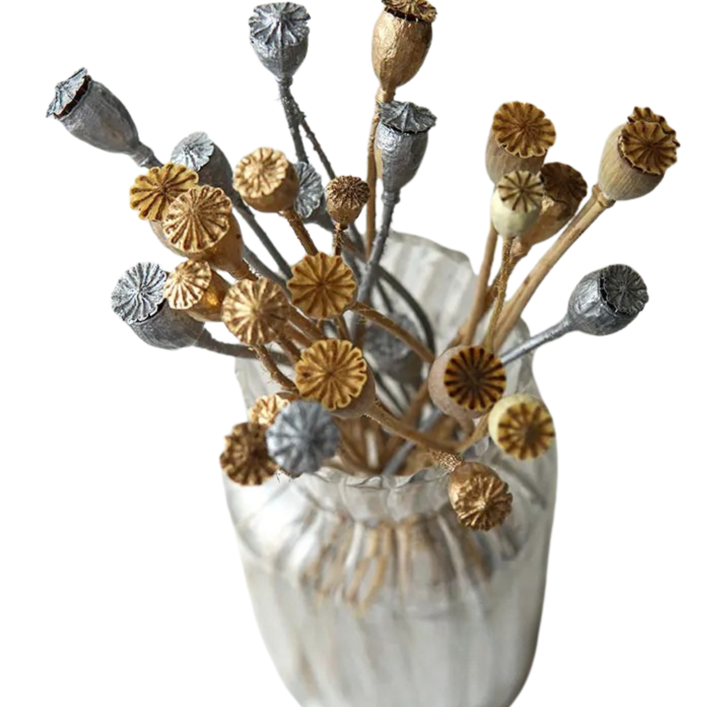 "Gilded Poppy" dried corn poppy seed heads in gold, silver and natural tones, arranged in a white textured ceramic vase on a white background