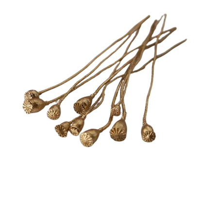 "Gilded Poppy" Gold — dried corn poppy stems with metallic gold finish, laid flat on a white background